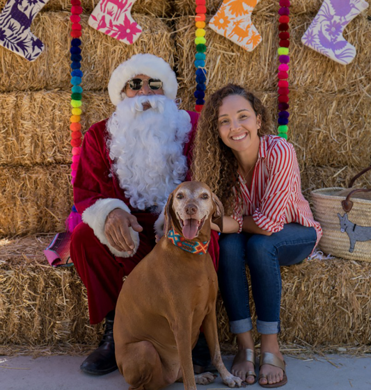 Santa Paws 2022 Edition