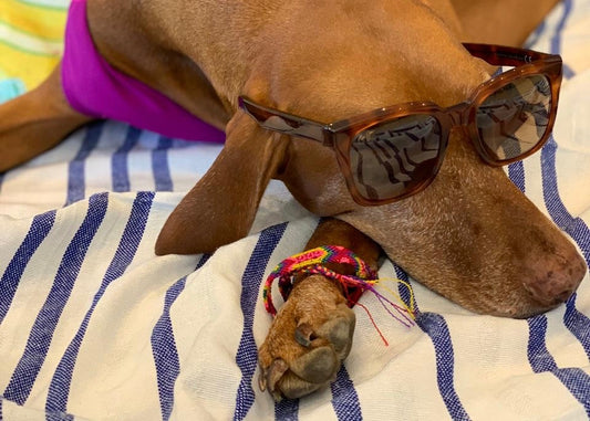 Behind the scenes for our new insta series: Sparrow's faves of the week!