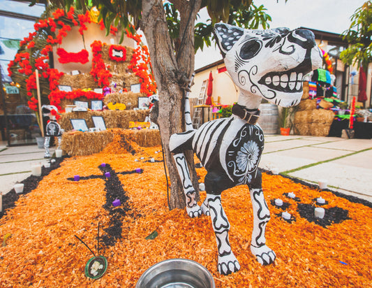 Day of the dead altar competition