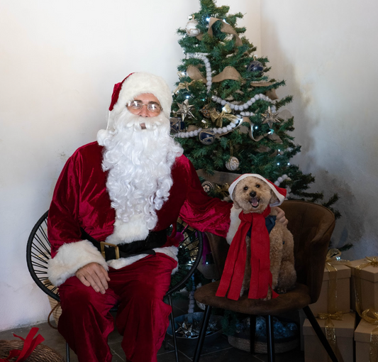 Santa Paws 2023