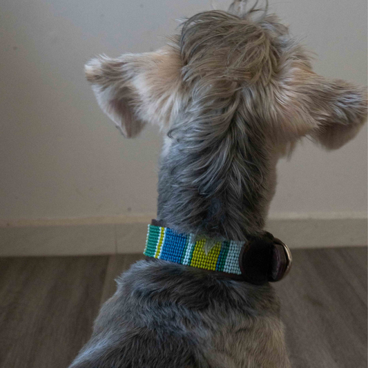 Beaded Dog Collar | Greens and Blues