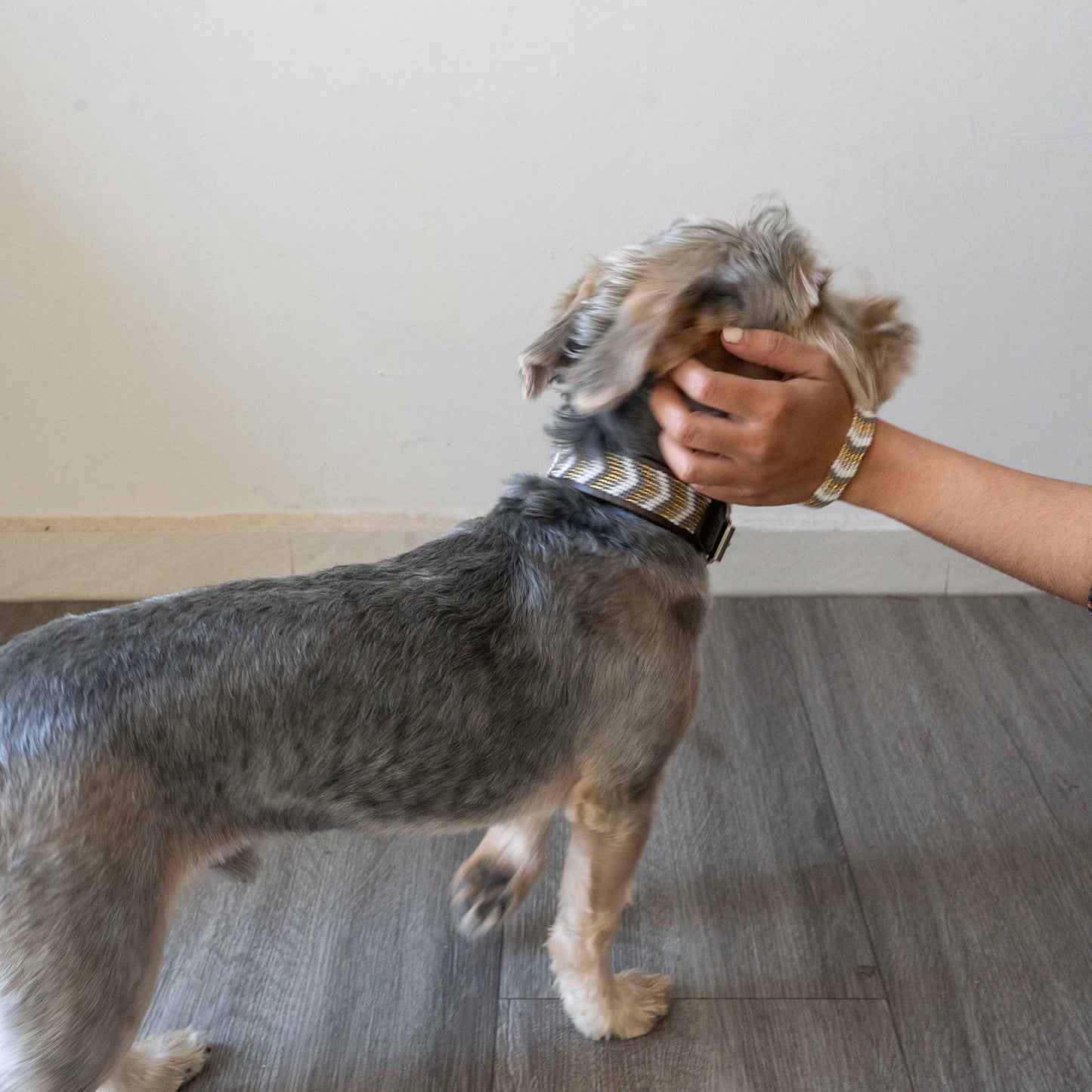 Beaded Dog Collar Nude