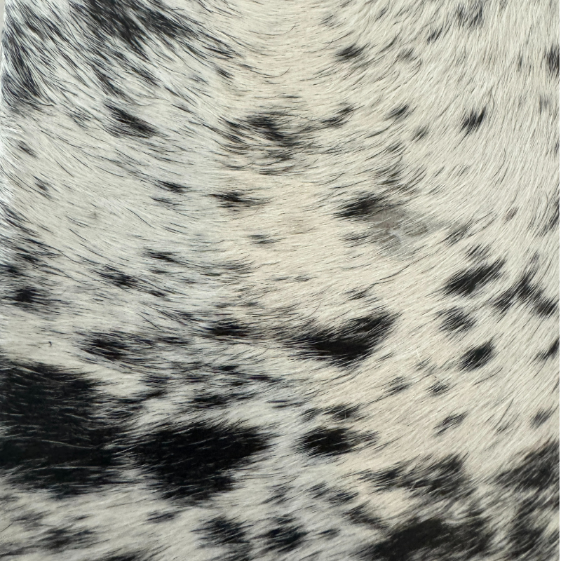 Islas Journal Black And White Hair - Briso Black