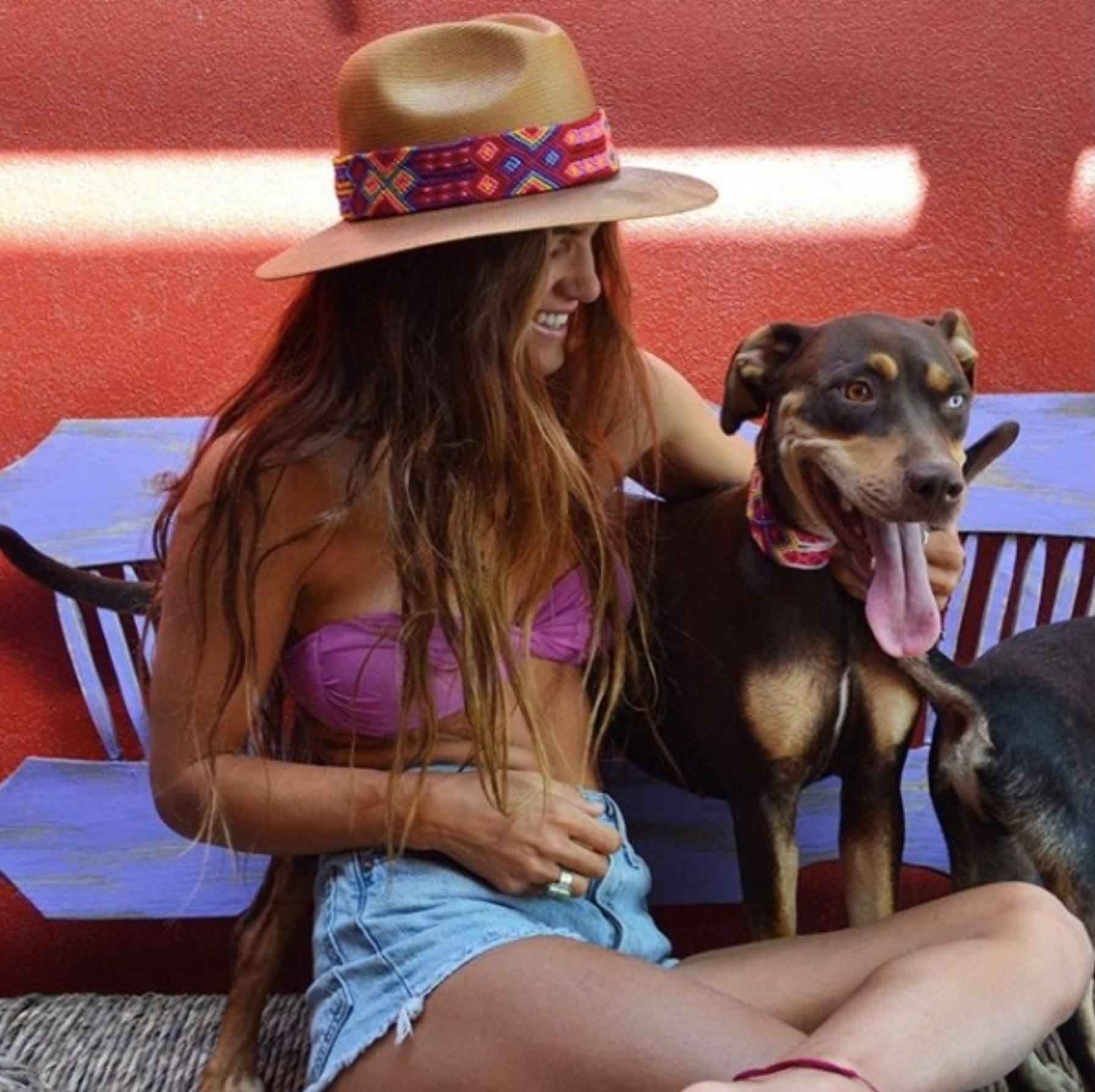 cutedogsdogcollar11.png__PID:78547f42-1096-4611-896b-e84d3ad0b047