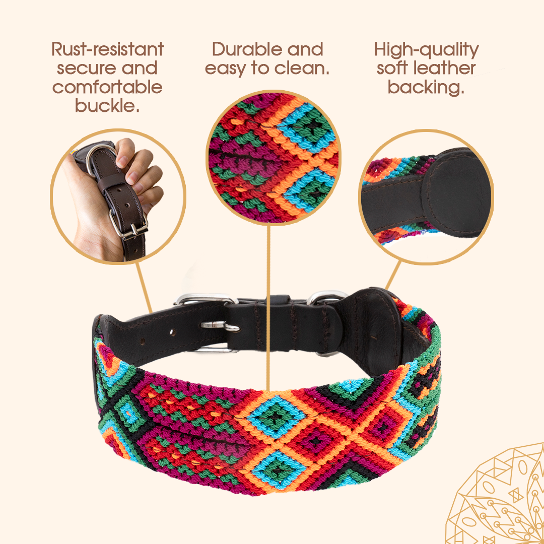 Caribbean - Embroidered Dog Collar With Leather