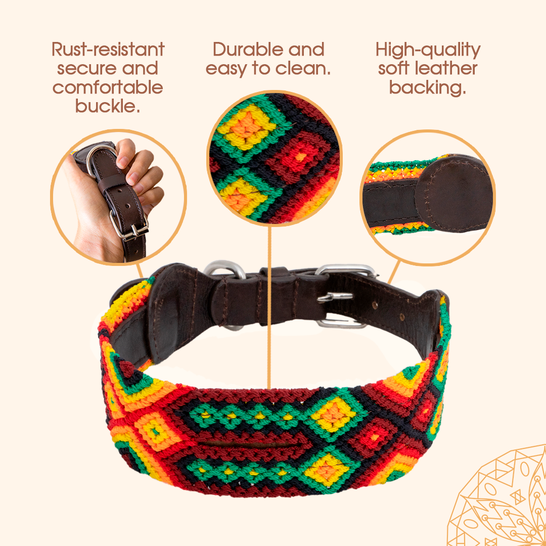Embroidered Dog Collar - Genuine Leather | Rasta
