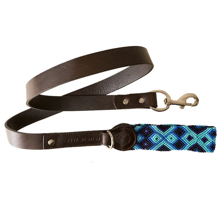 Blue Skies - Leather Dog Leash