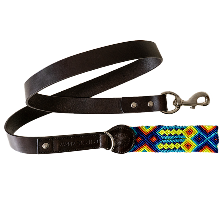 Horizon - Leather Dog Leash