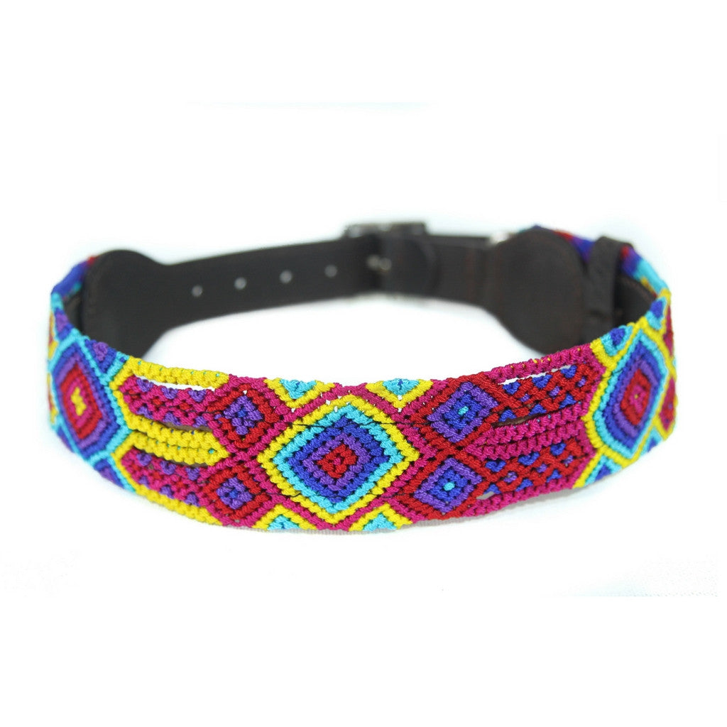 Raspberry Dog Collar