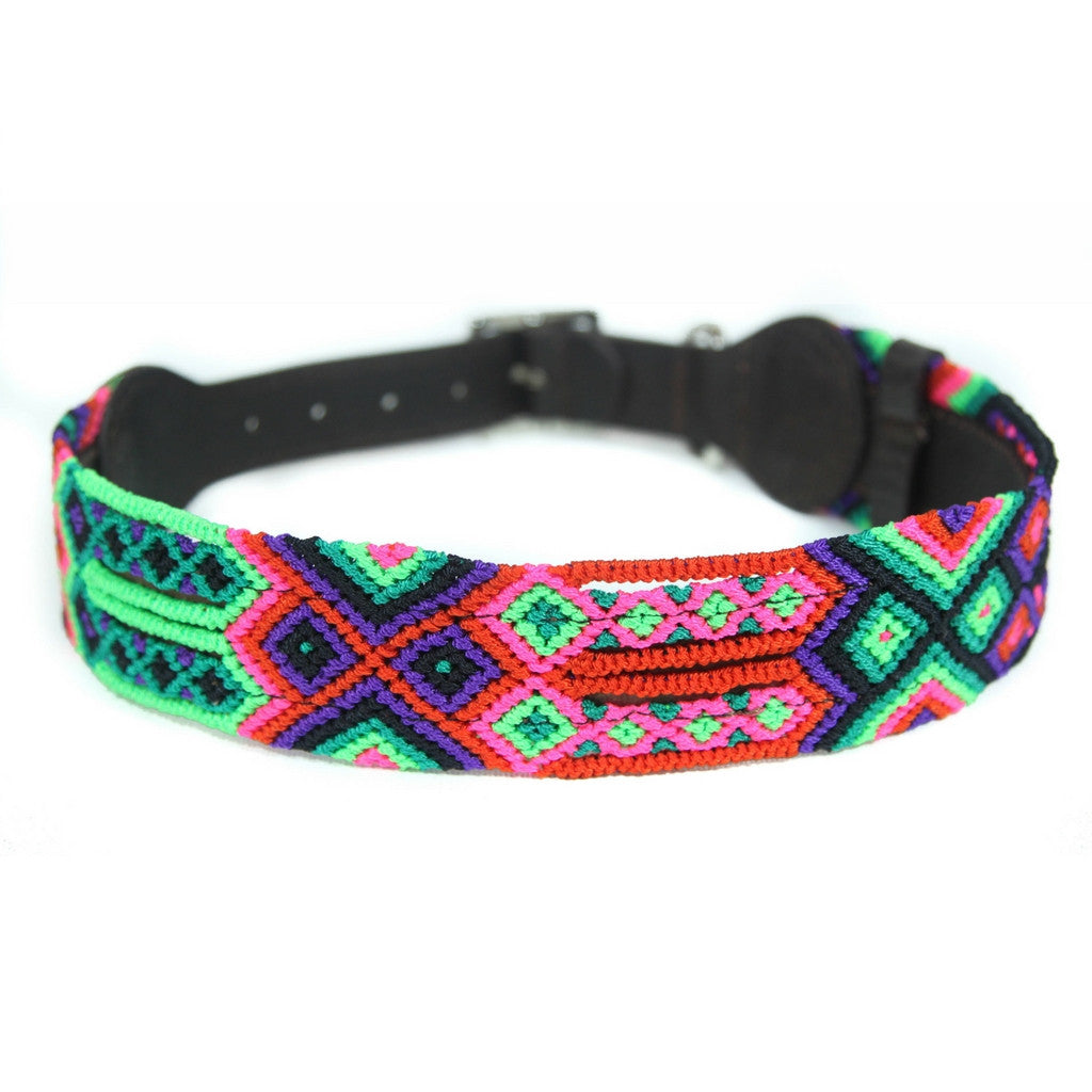 Watermelon Dog Collar