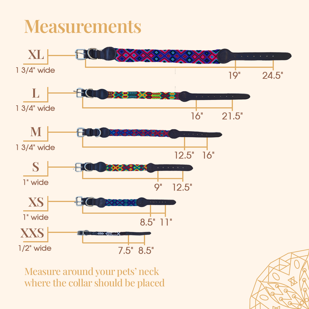 Embroidered Dog Collar - Genuine Leather | Fiesta Blue