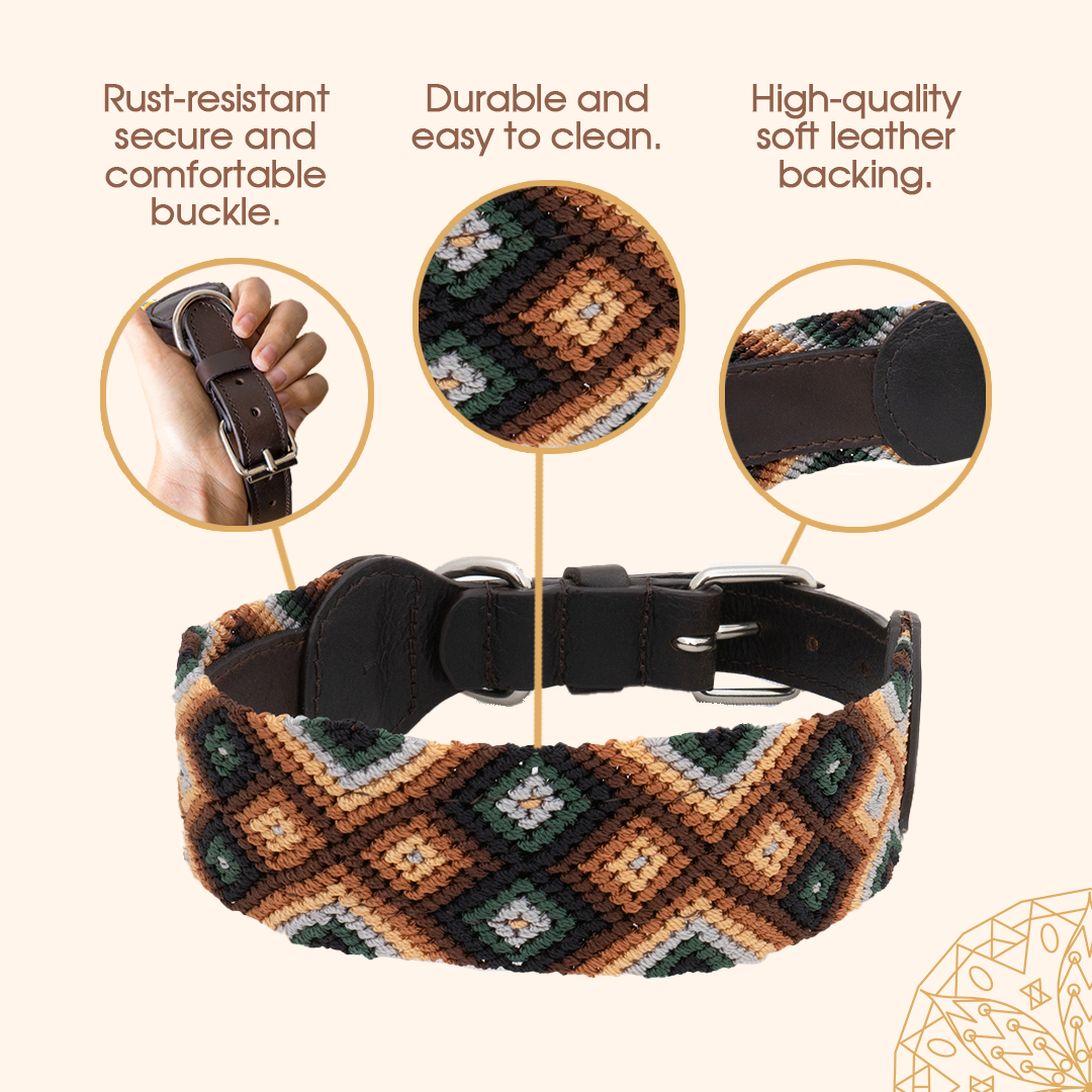 Embroidered Dog Collar - Genuine Leather | Moss