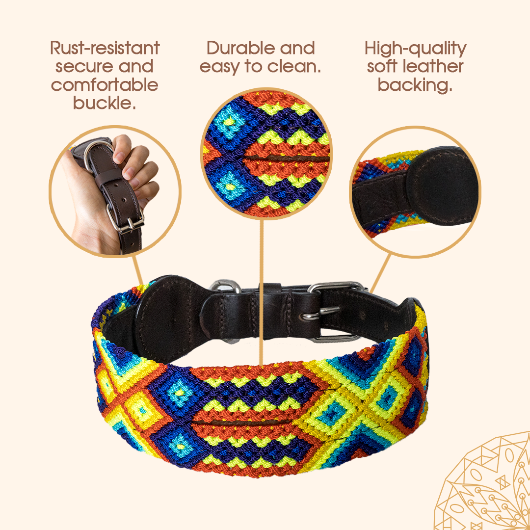 Embroidered Dog Collar - Genuine Leather | Horizon