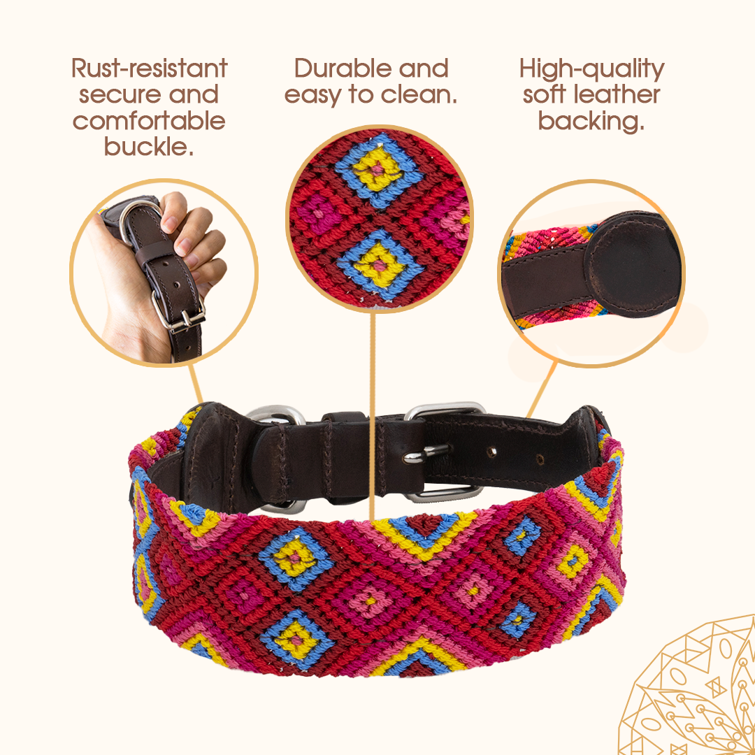 Embroidered Dog Collar - Genuine Letather | Mai tai