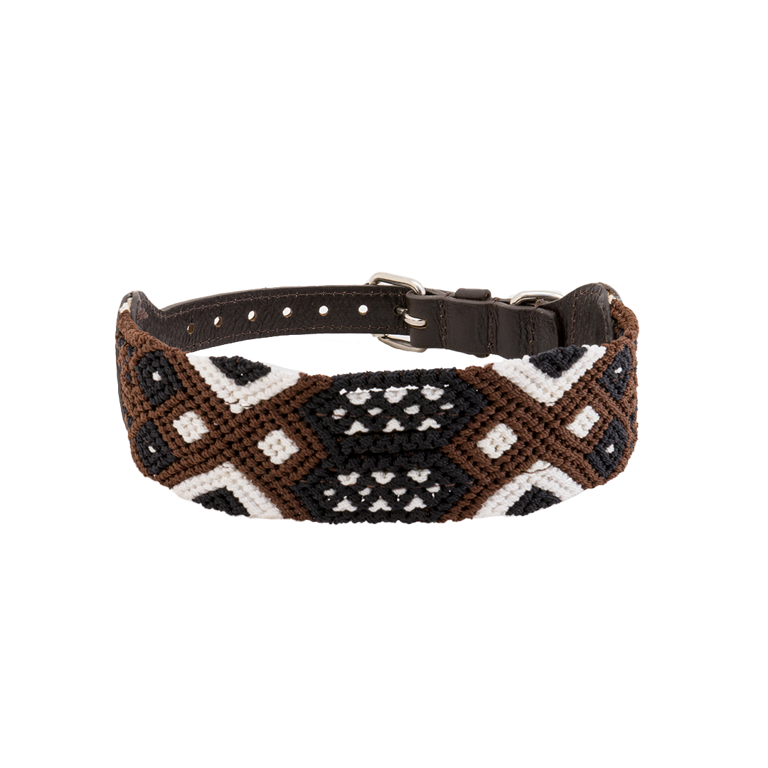 Muddy Paws Embroidered Dog Collar With Leather Eclectic Array
