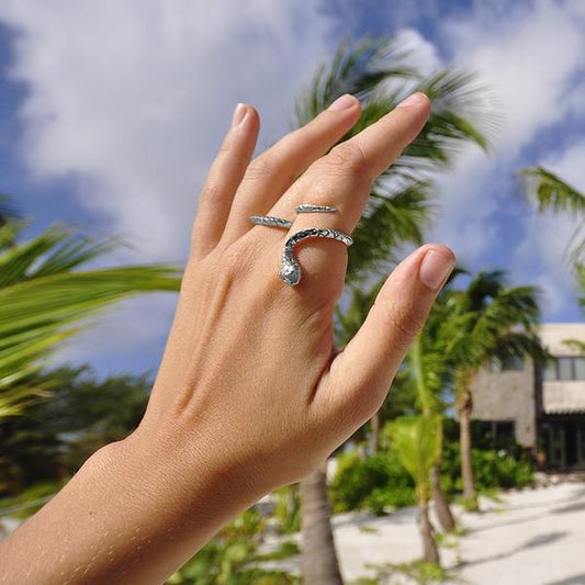 Ring Snake Infinity