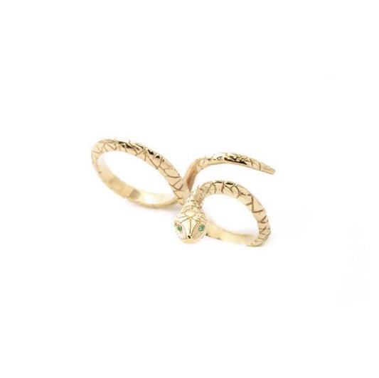 Ring Snake Infinity
