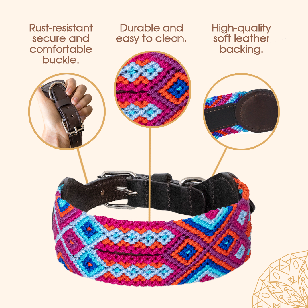 Embroidered Dog Collar - Genuine Leather | Fiesta Blue