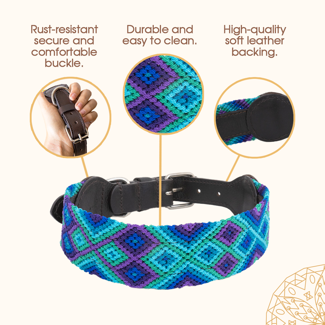 Embroidered Dog Collar - Genuine Leather | Peacock
