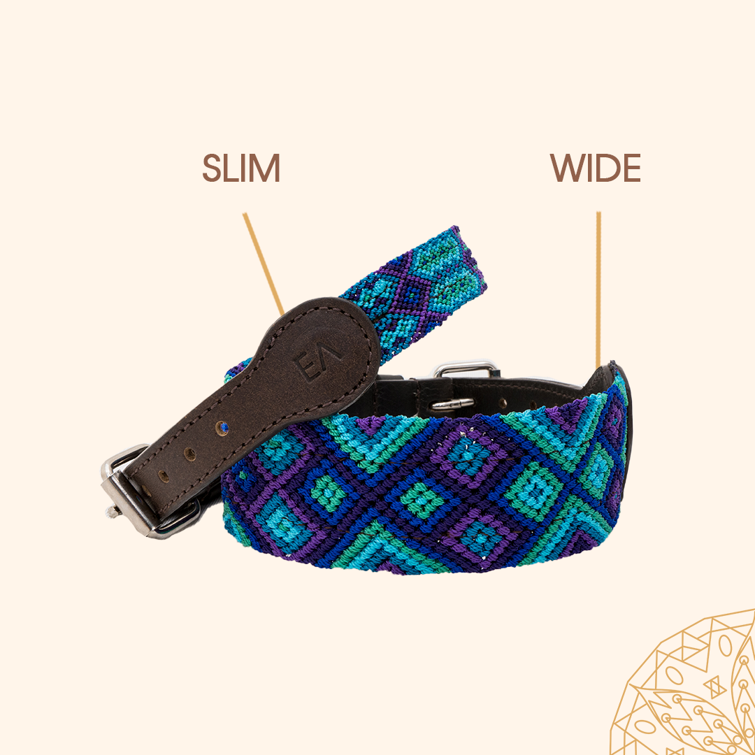 Embroidered Dog Collar - Genuine Leather | Peacock