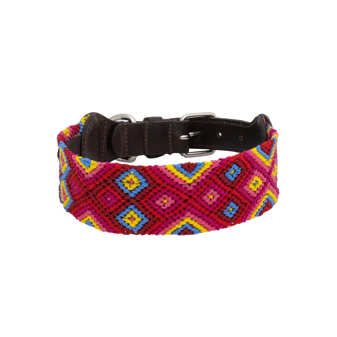 Embroidered Dog Collar - Genuine Letather | Mai tai