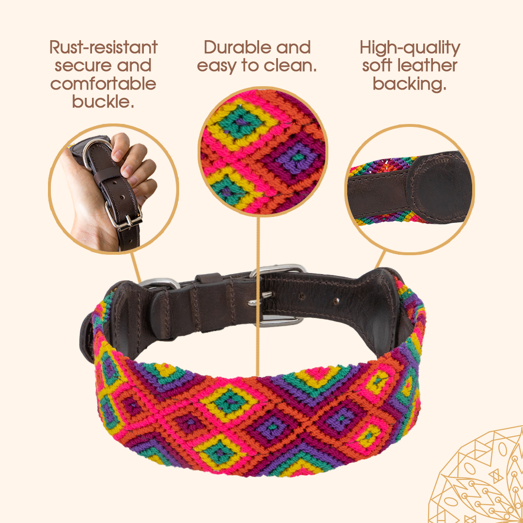 Embroidered Dog Collar - Genuine Leather | Cotton Candy