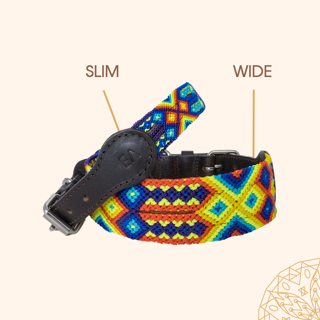 a slim embroidered dog collar with a wide embroidered dog collar - both with Horizon design