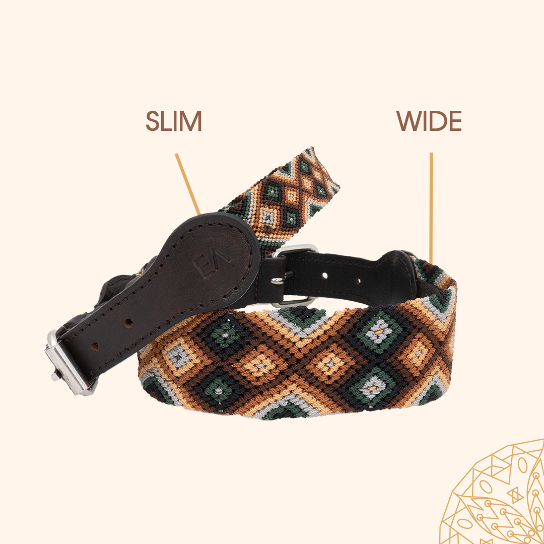 Embroidered Dog Collar - Genuine Leather | Moss