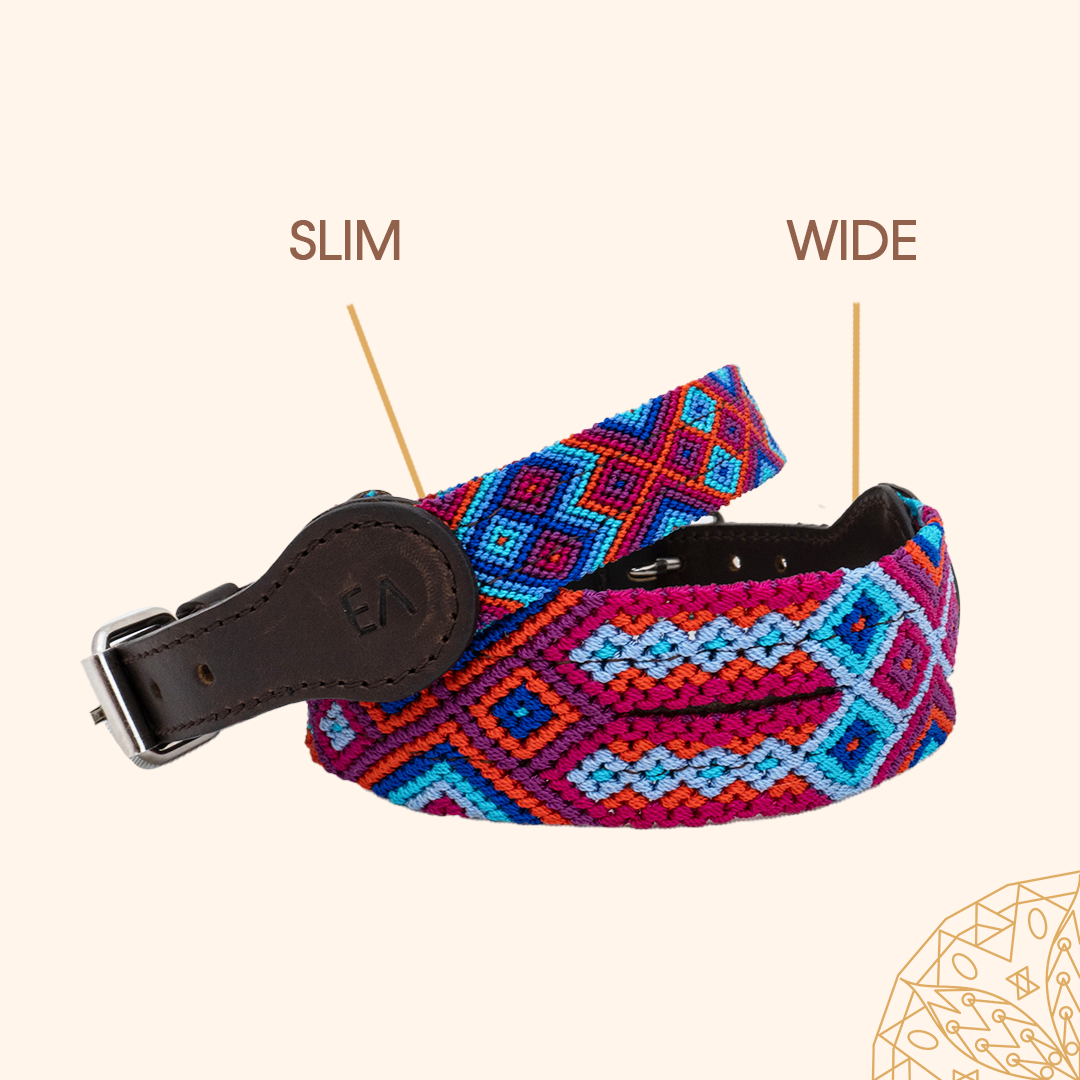 Fiesta Blue - Embroidered Dog Collar With Leather