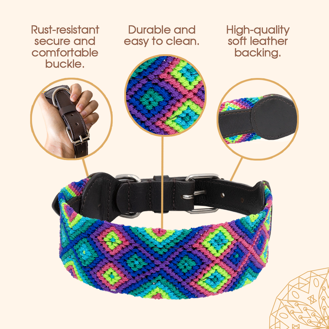 Embroidered Dog Collar - Genuine Leather | Bright Emerald