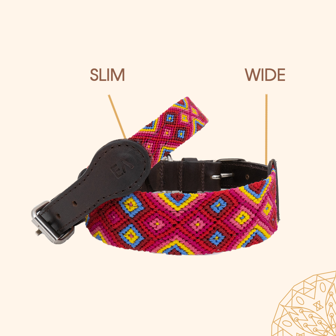 Embroidered Dog Collar - Genuine Letather | Mai tai