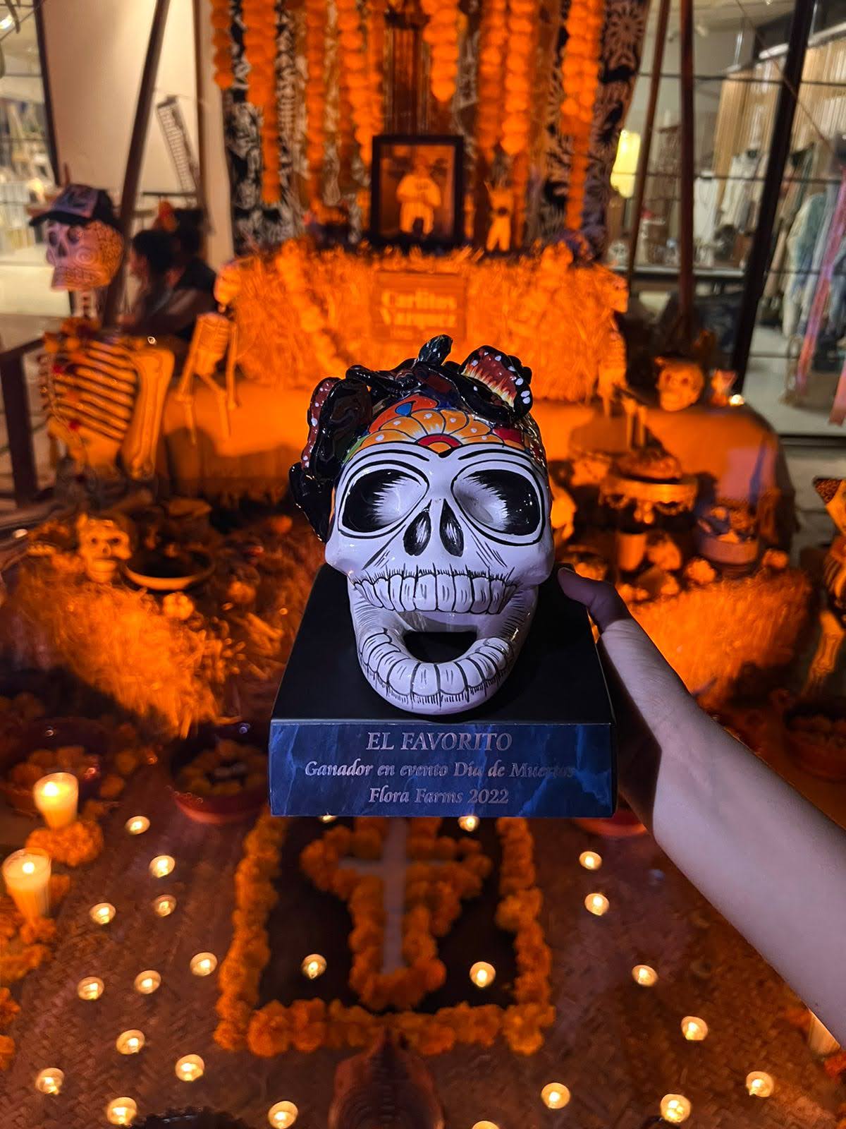 Thank you for your support - We won! – Eclectic Array - Nevis / Mexico