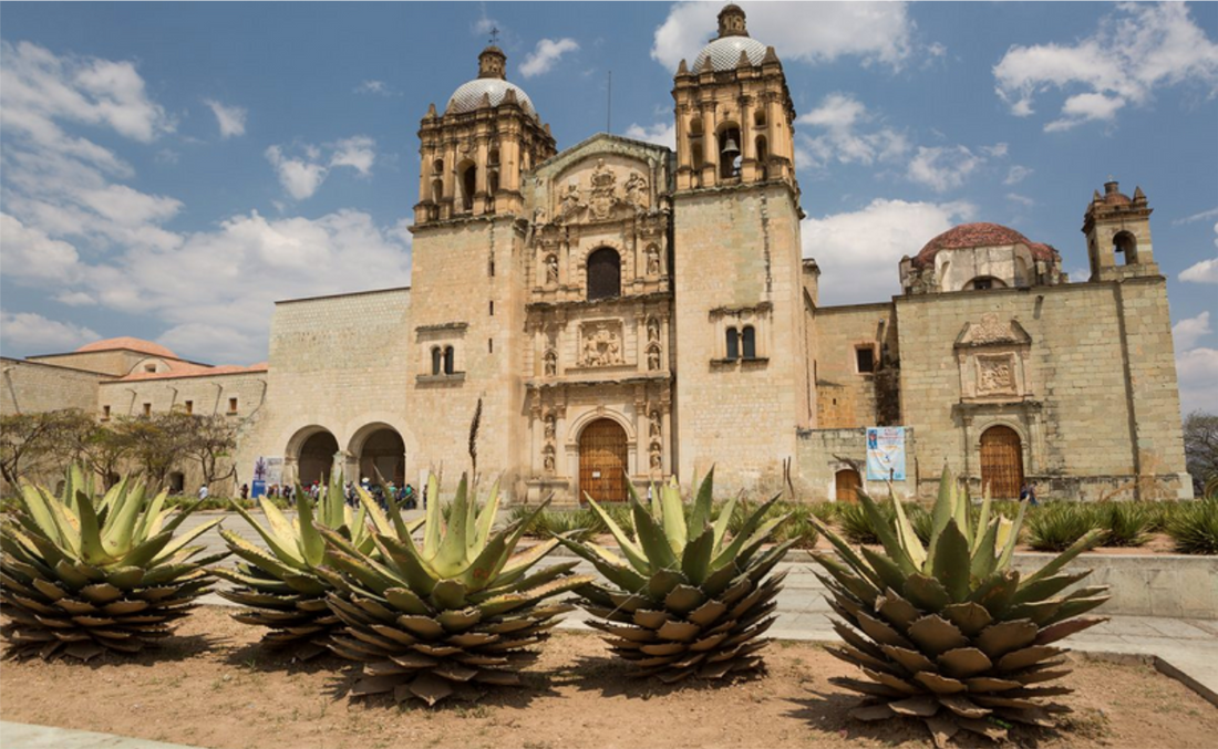 Insider's Look to Oaxaca City