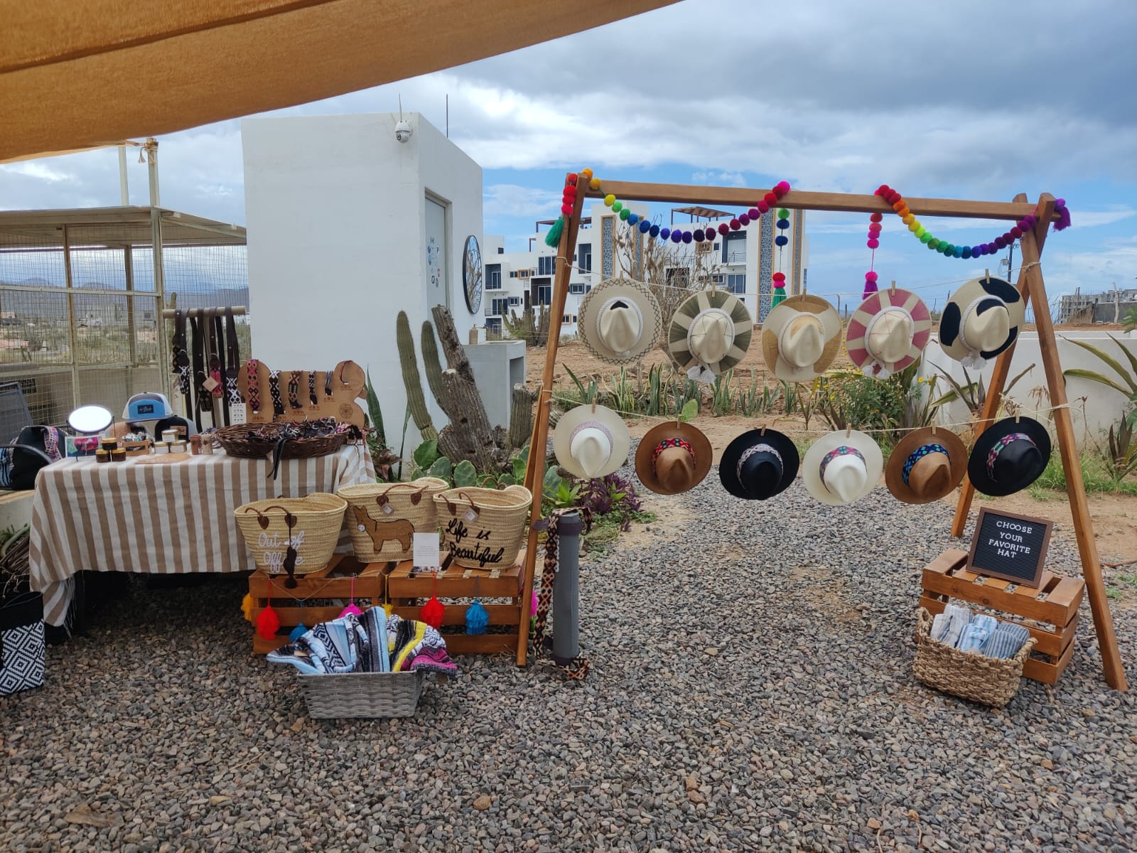 Cerritos Beach Dogs – Eclectic Array - Nevis / Mexico