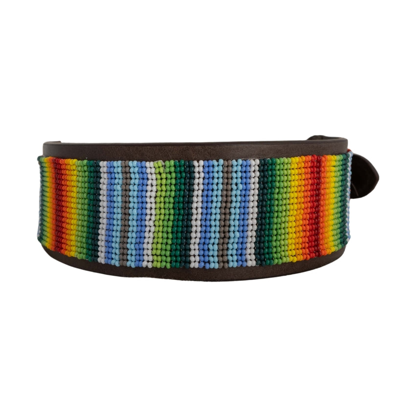 Beaded Dog Collar | Rainbow