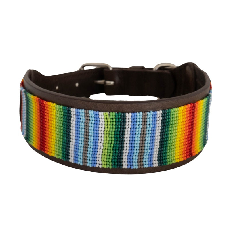 Beaded Dog Collar | Rainbow