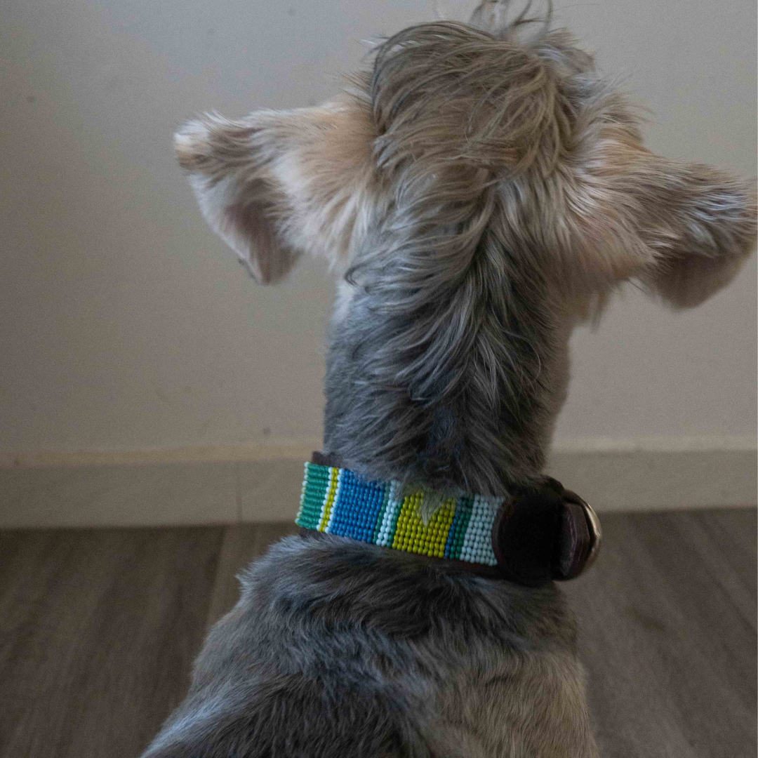 Beaded Dog Collar | Greens and Blues