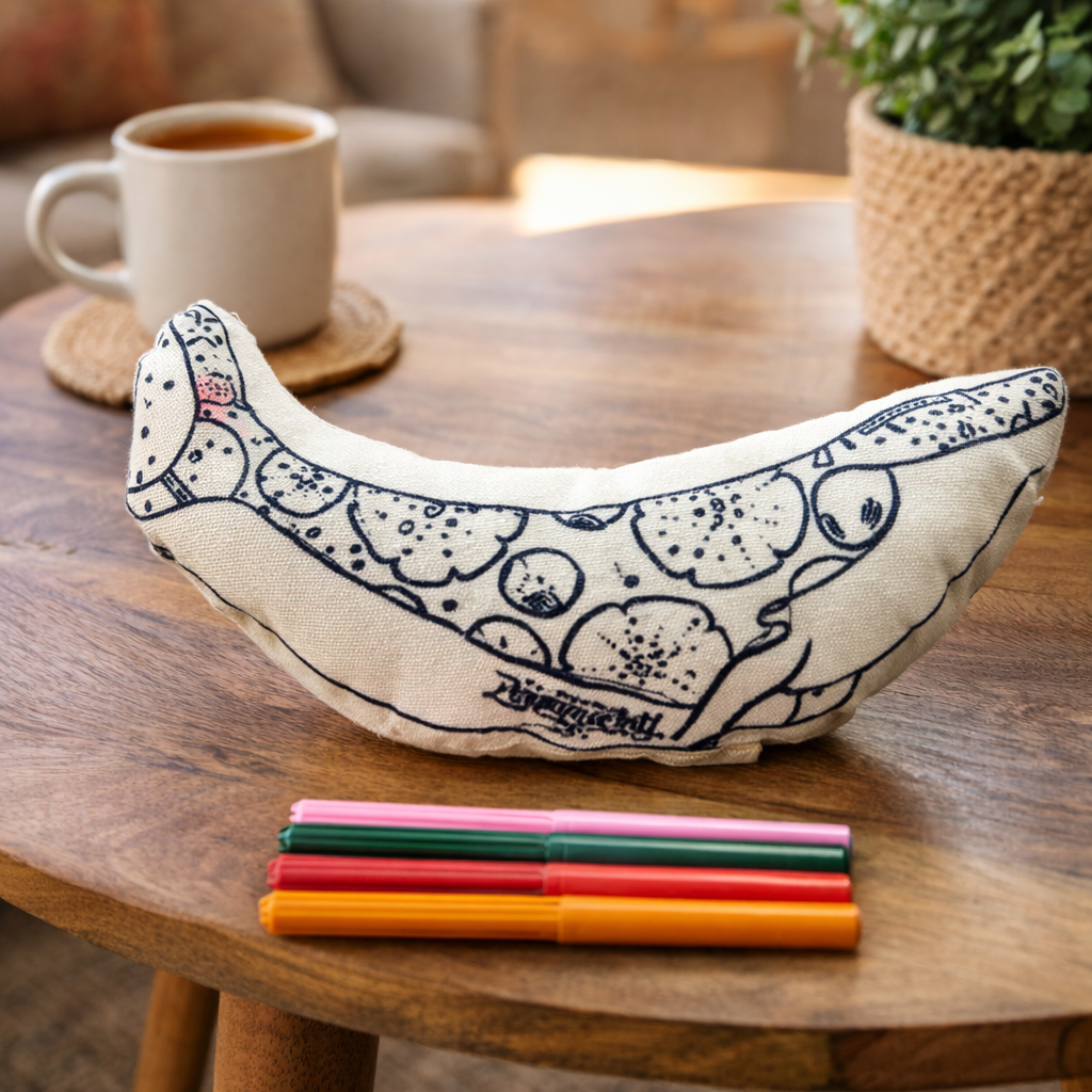 Discover creative toys for kids including washable coloring toys and handmade gifts inspired by Mexican culture. Designed for imagination and playful learning.