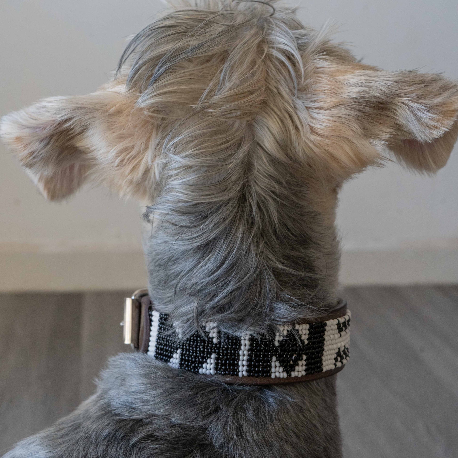 Handmade black and white beaded dog collar showcasing intricate beadwork