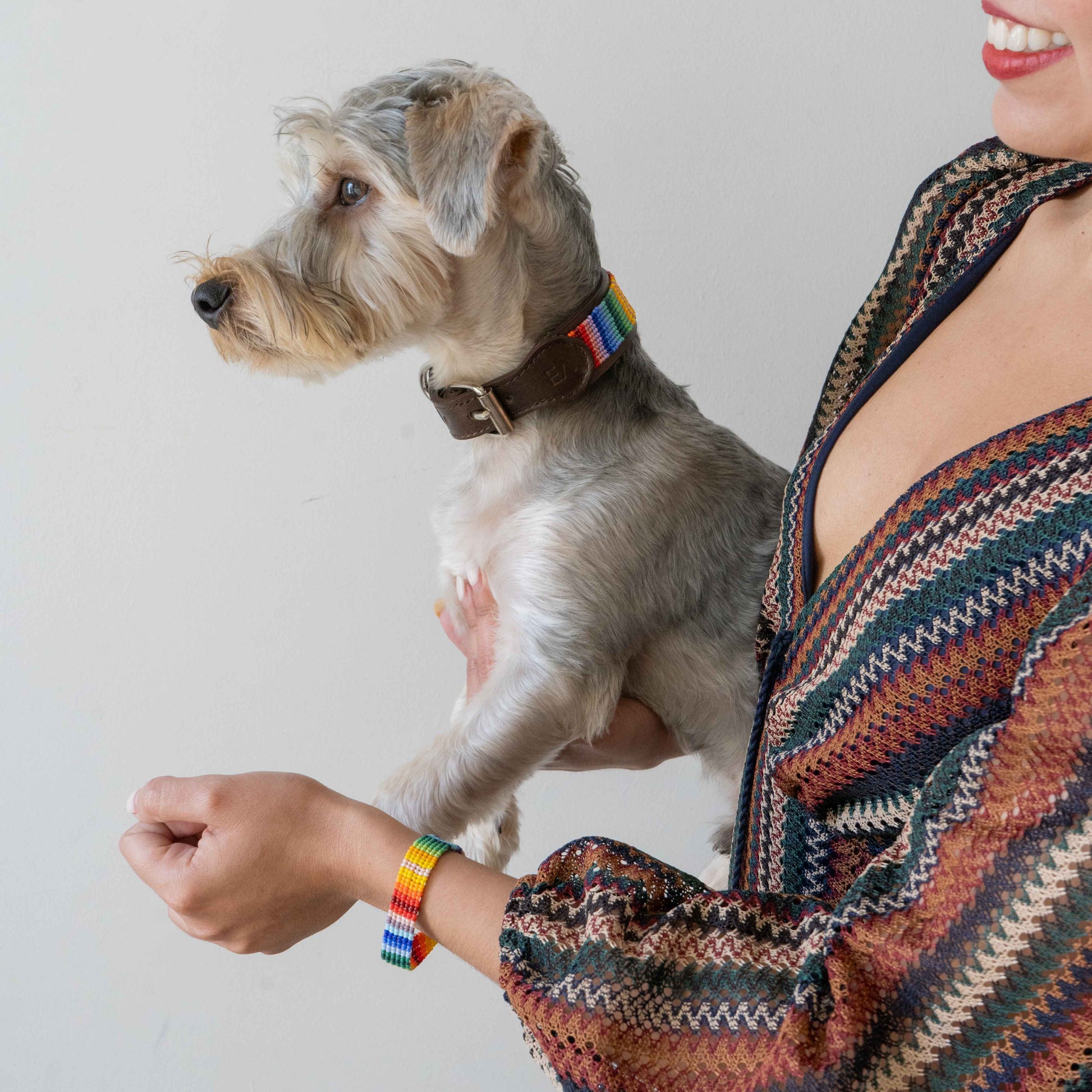 Matching Rainbow Dog Collar & Owner Bracelet