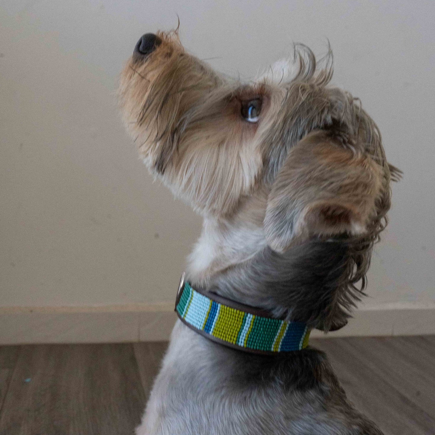 Beaded Dog Collar | Greens and Blues