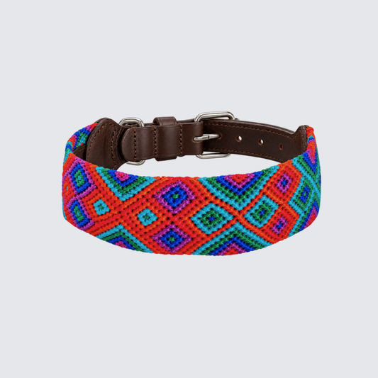 Embroidered Dog Collar - Genuine Leather | Sparrow's Collection