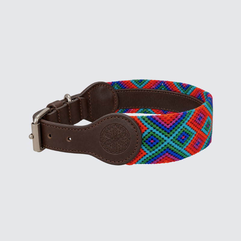 Embroidered Dog Collar - Genuine Leather | Sparrow's Collection
