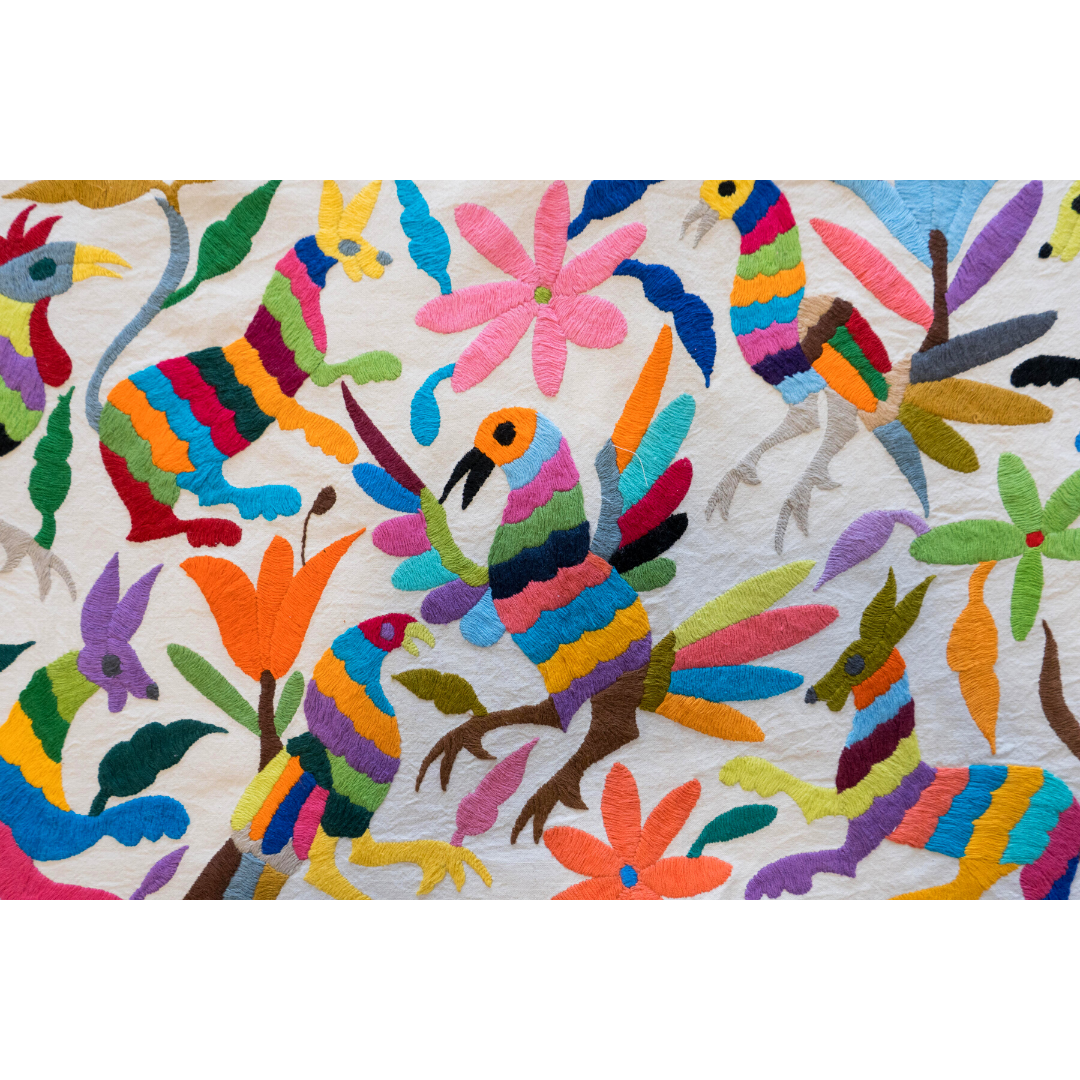 Otomi Hand Embroidered Double Pillow Case