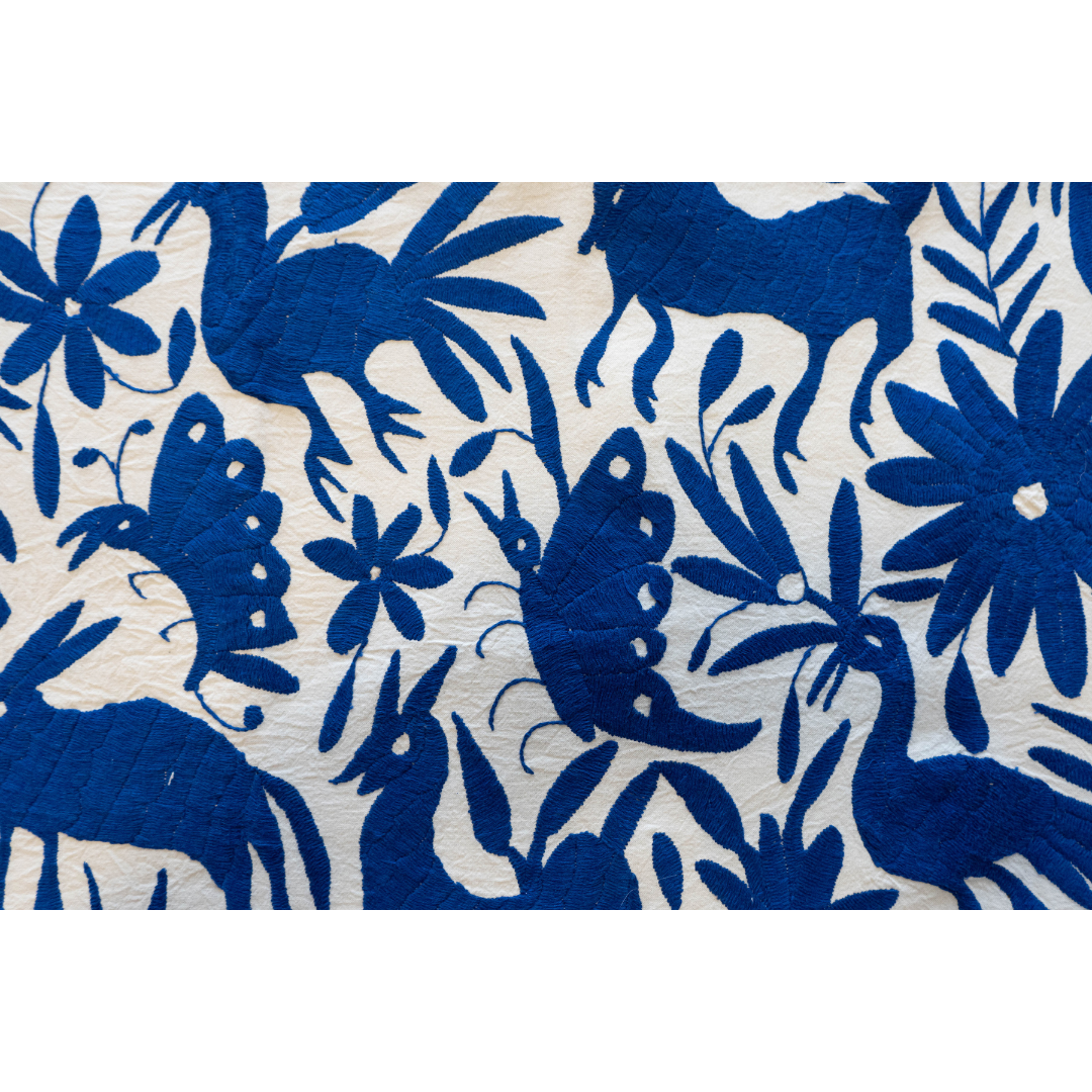 Otomi Hand Embroidered Pillow Case