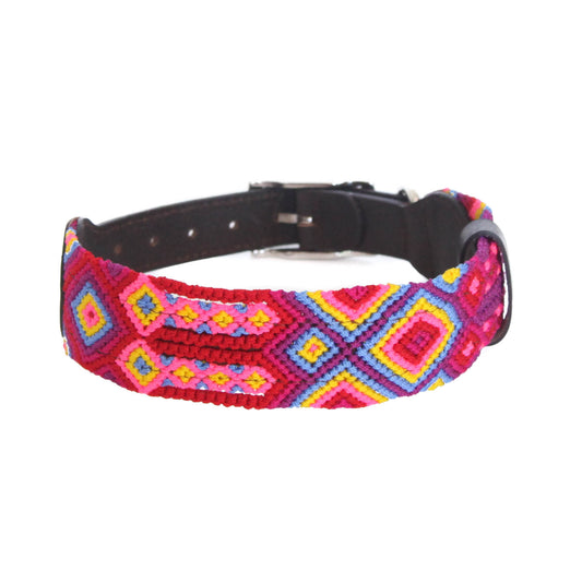 Coral - Embroidered Dog Collar With Leather