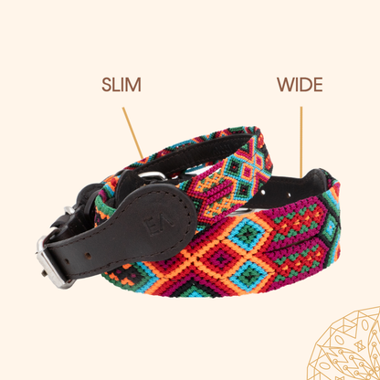 Caribbean - Embroidered Dog Collar With Leather