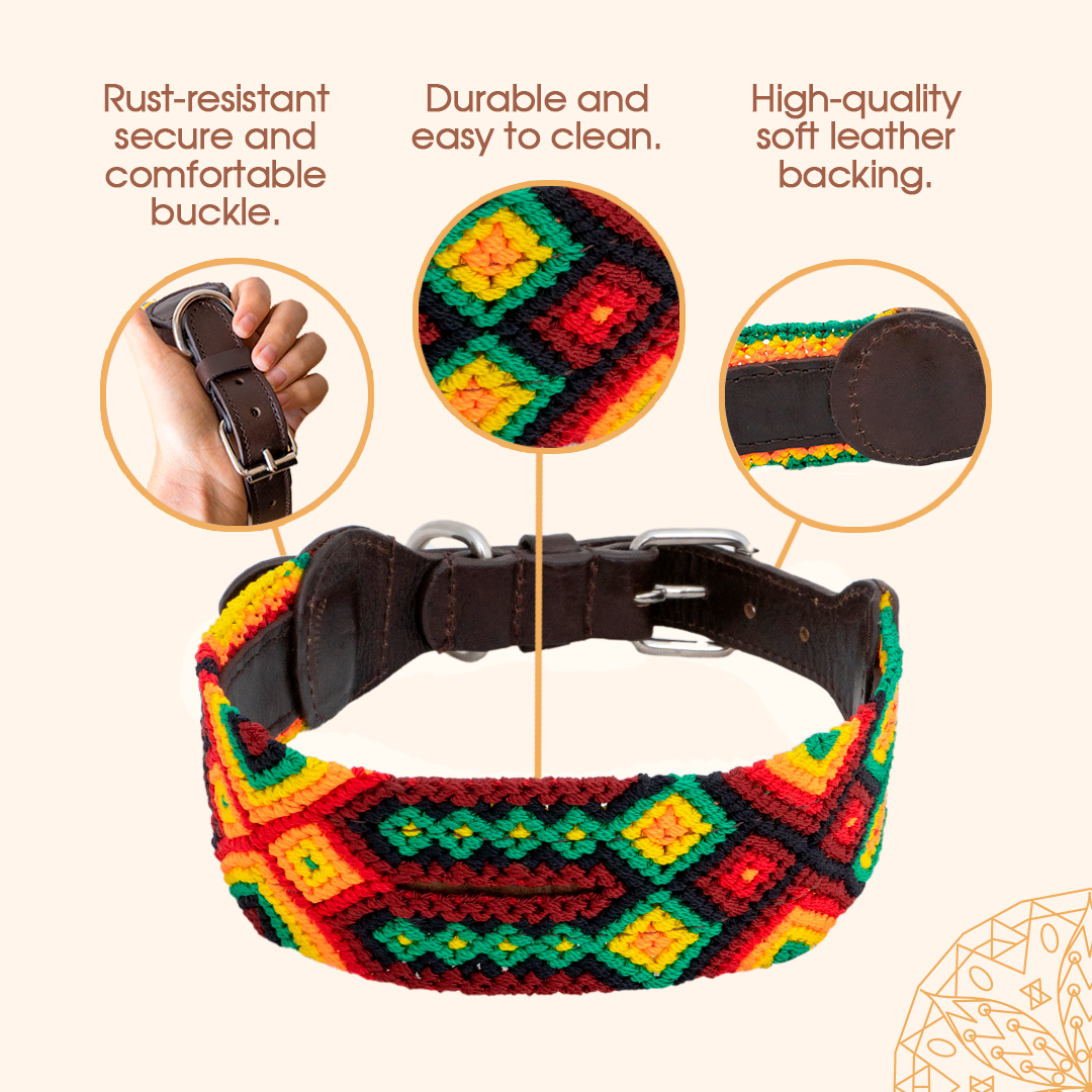 Rasta - Embroidered Dog Collar With Leather
