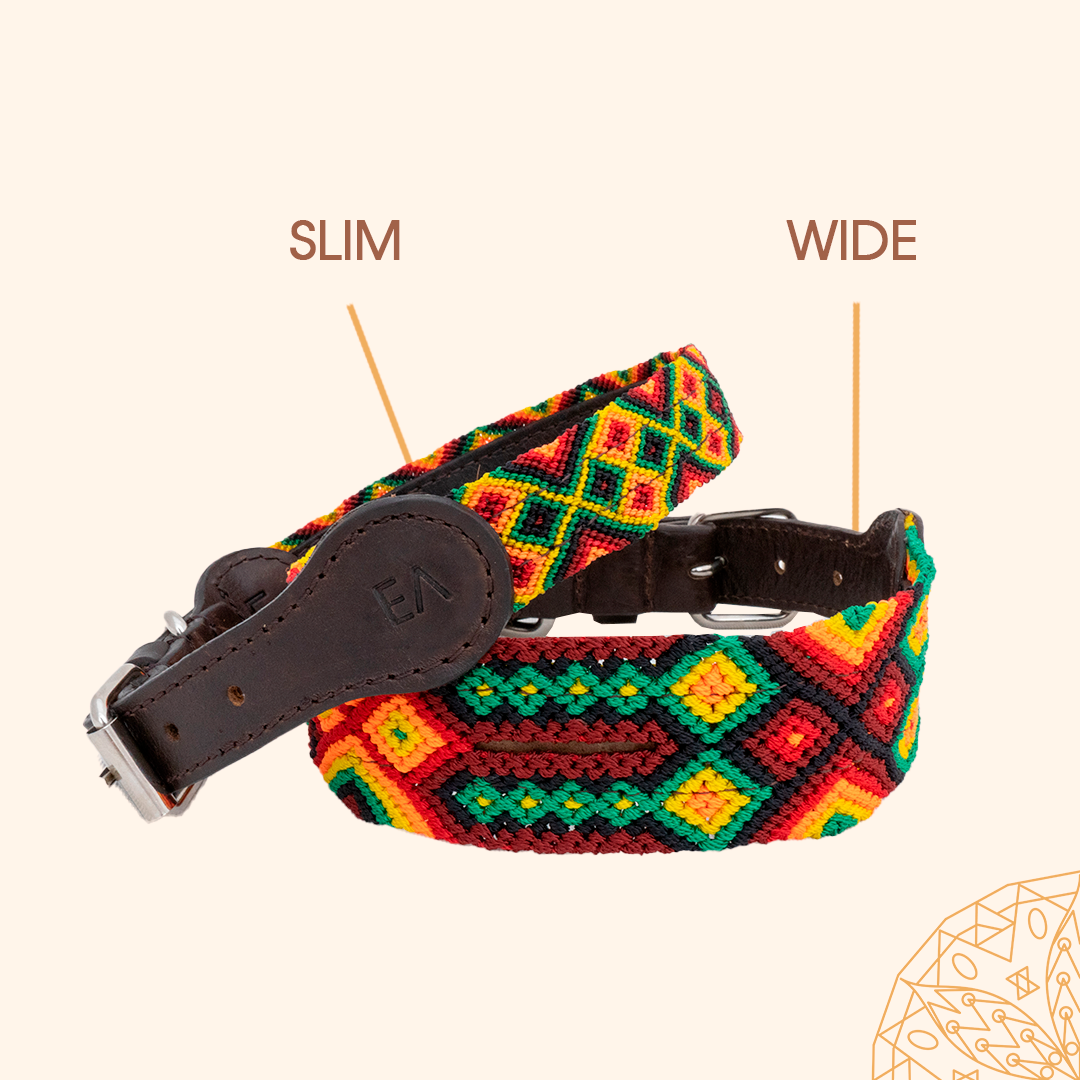 Rasta - Embroidered Dog Collar With Leather