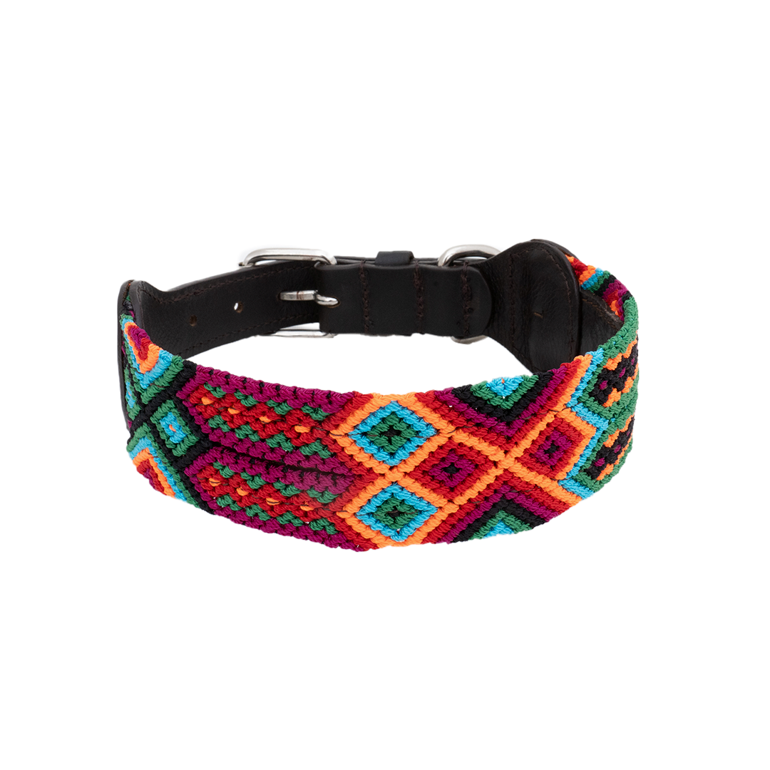 Caribbean - Embroidered Dog Collar With Leather